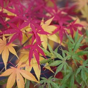 Meet your Posher, Jenn